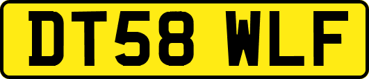 DT58WLF