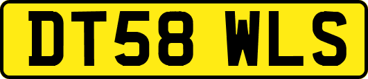 DT58WLS