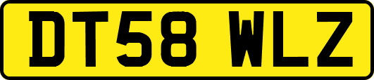 DT58WLZ