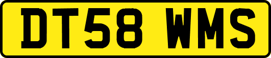 DT58WMS