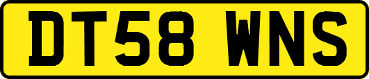 DT58WNS