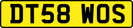 DT58WOS