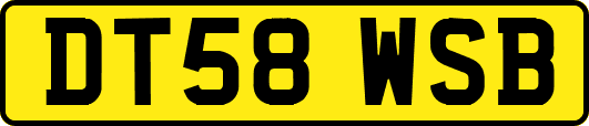DT58WSB