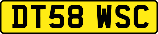 DT58WSC