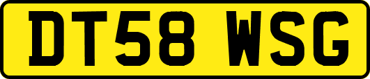DT58WSG