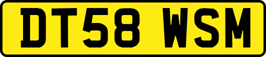 DT58WSM