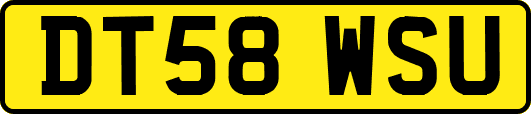 DT58WSU