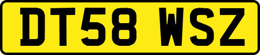 DT58WSZ