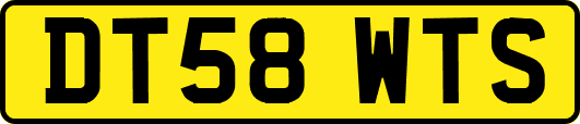 DT58WTS