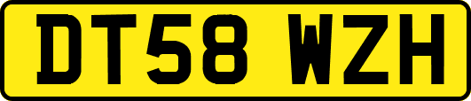 DT58WZH