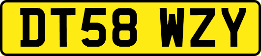 DT58WZY
