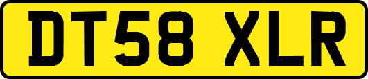 DT58XLR