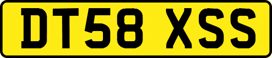 DT58XSS