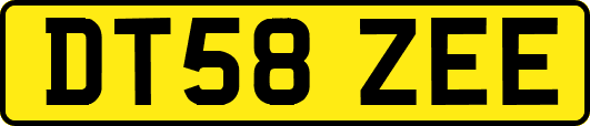 DT58ZEE