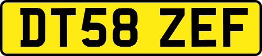 DT58ZEF