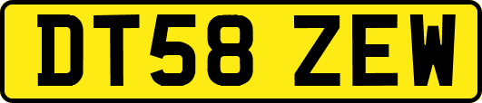 DT58ZEW