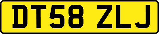DT58ZLJ