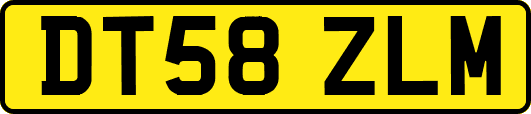DT58ZLM