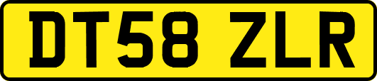 DT58ZLR