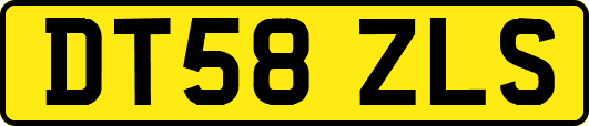 DT58ZLS