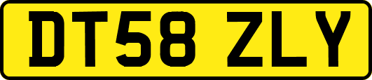DT58ZLY