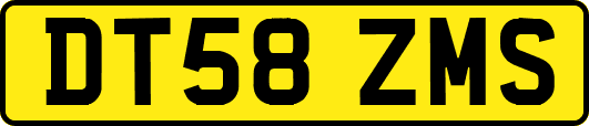 DT58ZMS