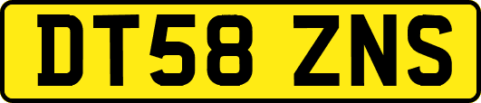 DT58ZNS