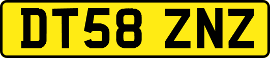 DT58ZNZ