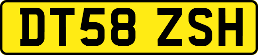 DT58ZSH