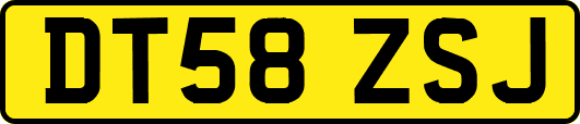DT58ZSJ