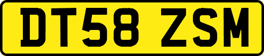 DT58ZSM