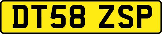 DT58ZSP
