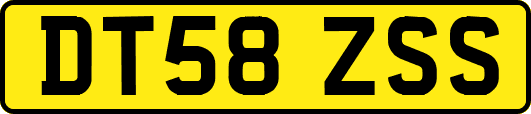 DT58ZSS
