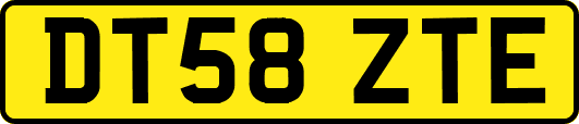 DT58ZTE