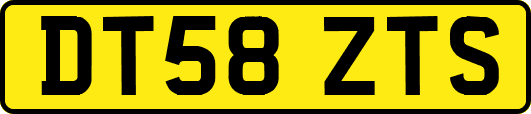 DT58ZTS