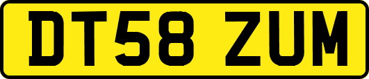 DT58ZUM