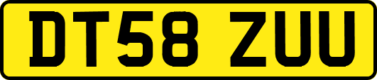 DT58ZUU