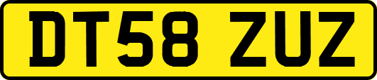 DT58ZUZ