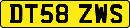 DT58ZWS
