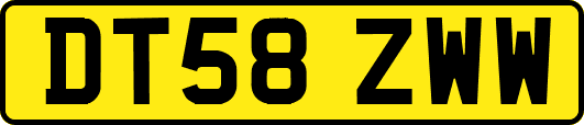 DT58ZWW