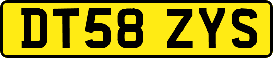 DT58ZYS
