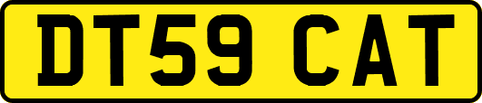 DT59CAT
