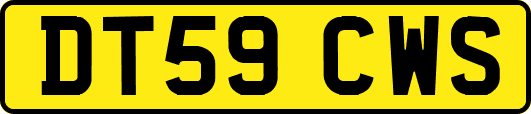 DT59CWS