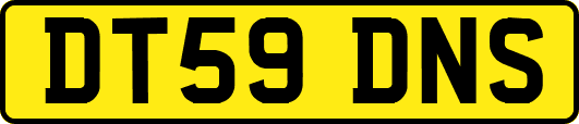 DT59DNS