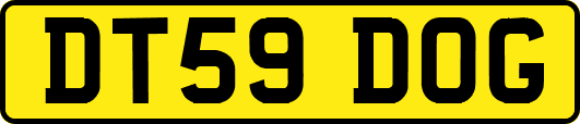 DT59DOG