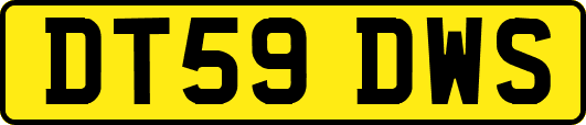 DT59DWS