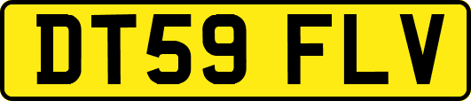 DT59FLV