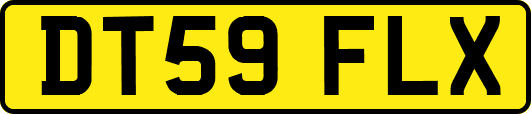 DT59FLX