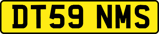 DT59NMS