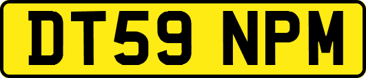 DT59NPM